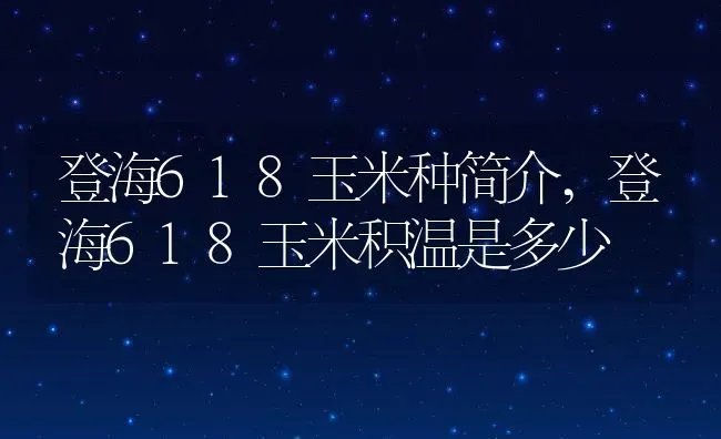 登海618玉米种简介,登海618玉米积温是多少 | 养殖常见问题