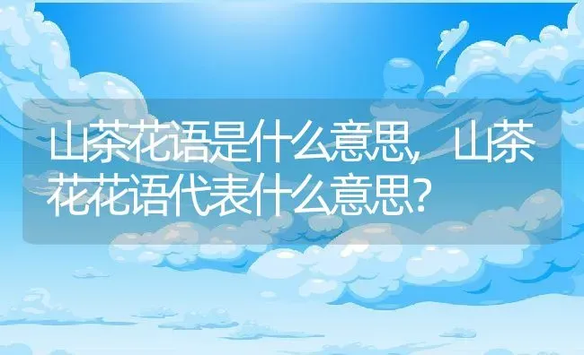 山茶花语是什么意思,山茶花花语代表什么意思？ | 养殖常见问题