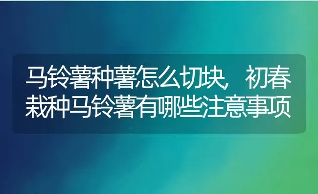 马铃薯种薯怎么切块,初春栽种马铃薯有哪些注意事项 | 养殖常见问题