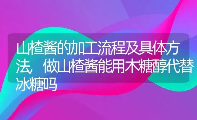 山楂酱的加工流程及具体方法,做山楂酱能用木糖醇代替冰糖吗 | 养殖常见问题