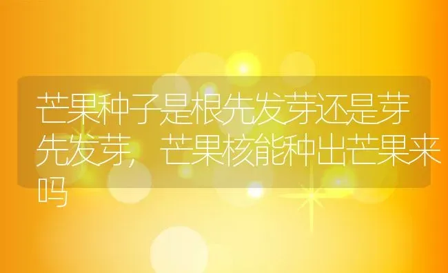 芒果种子是根先发芽还是芽先发芽,芒果核能种出芒果来吗 | 养殖常见问题