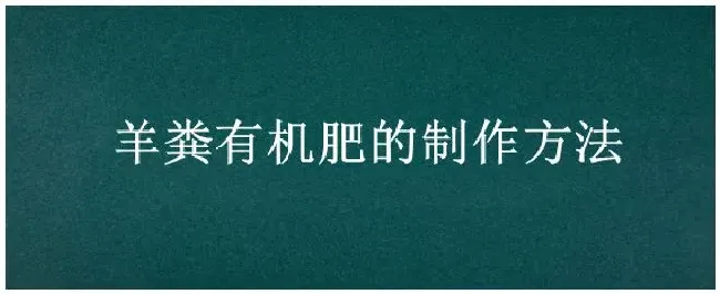 羊粪有机肥的制作方法 | 农业常识