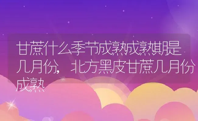 甘蔗什么季节成熟成熟期是几月份,北方黑皮甘蔗几月份成熟 | 养殖常见问题