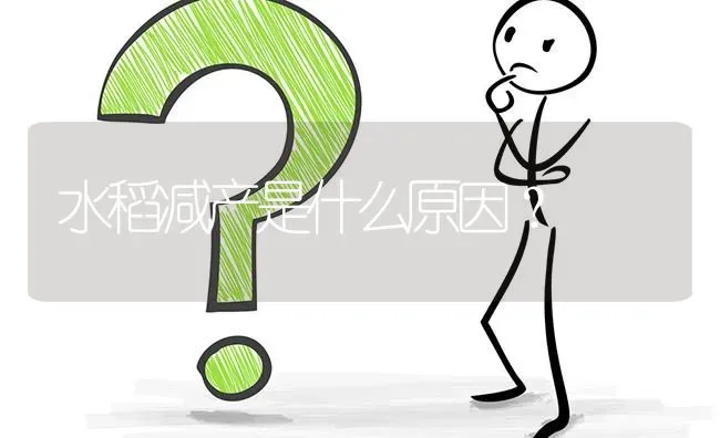 水稻减产是什么原因? | 养殖问题解答