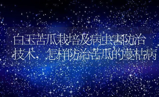 白玉苦瓜栽培及病虫害防治技术,怎样防治苦瓜的蔓枯病 | 养殖常见问题