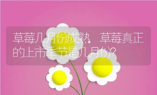 草莓几月份成熟,草莓真正的上市季节是几月份？ | 养殖常见问题