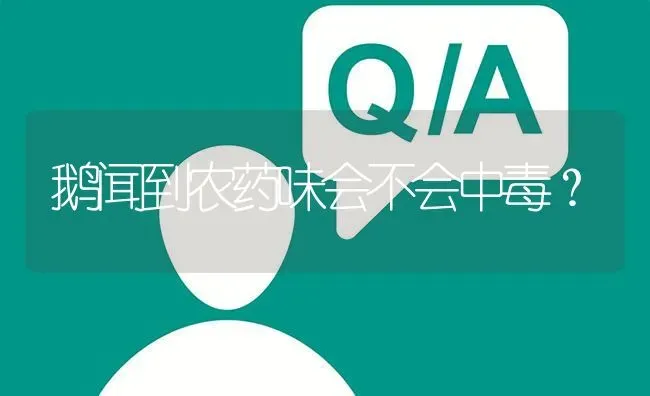 鹅闻到农药味会不会中毒? | 养殖问题解答