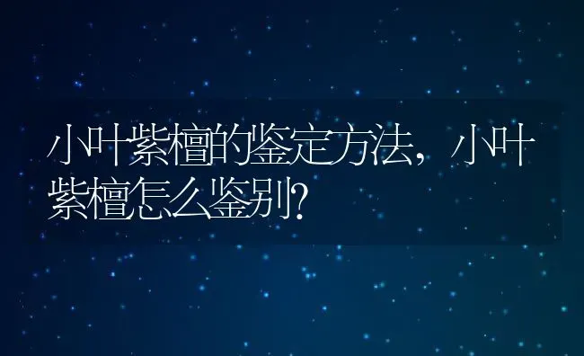 小叶紫檀的鉴定方法,小叶紫檀怎么鉴别？ | 养殖常见问题