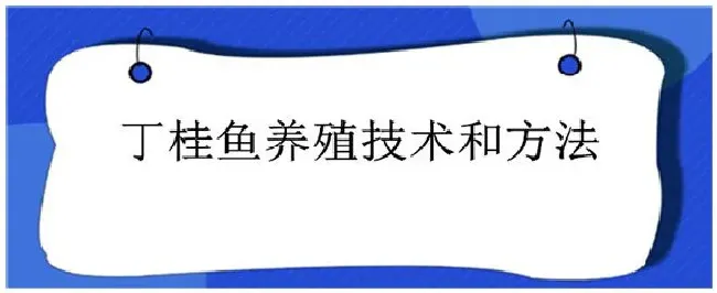 丁桂鱼养殖技术和方法 | 农业常识