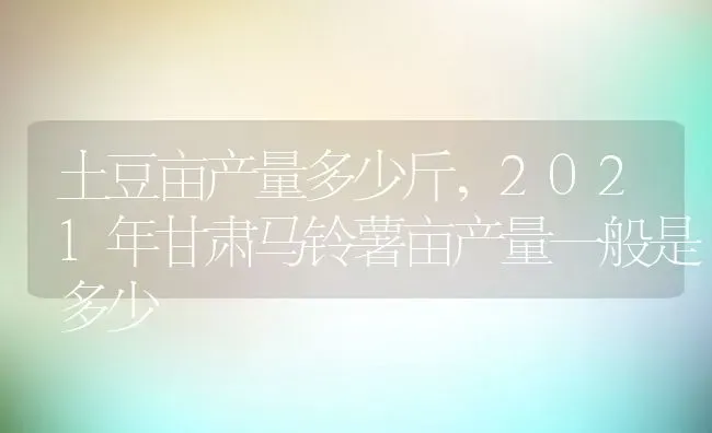 土豆亩产量多少斤,2021年甘肃马铃薯亩产量一般是多少 | 养殖常见问题