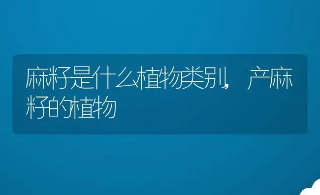 麻籽是什么植物类别,产麻籽的植物 | 养殖常见问题