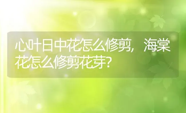 心叶日中花怎么修剪,海棠花怎么修剪花芽？ | 养殖常见问题