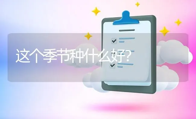 这个季节种什么好? | 养殖问题解答