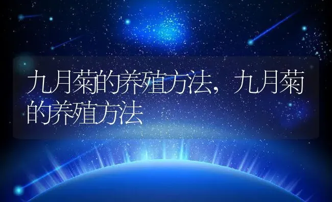 九月菊的养殖方法,九月菊的养殖方法 | 养殖常见问题