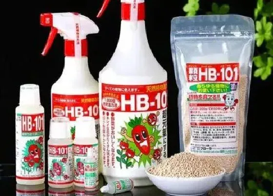 植物常识问题|hb101活力素如何喷洒兰花旺盛