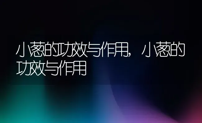小葱的功效与作用,小葱的功效与作用 | 养殖常见问题