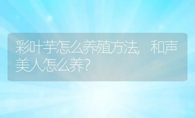 彩叶芋怎么养殖方法,和声美人怎么养？ | 养殖常见问题