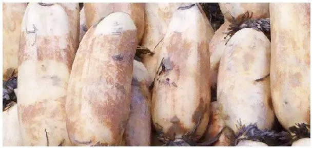 莲藕干怎么晒 | 生活常识