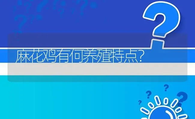 麻花鸡有何养殖特点? | 养殖问题解答