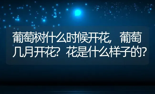 葡萄树什么时候开花,葡萄几月开花?花是什么样子的？ | 养殖常见问题
