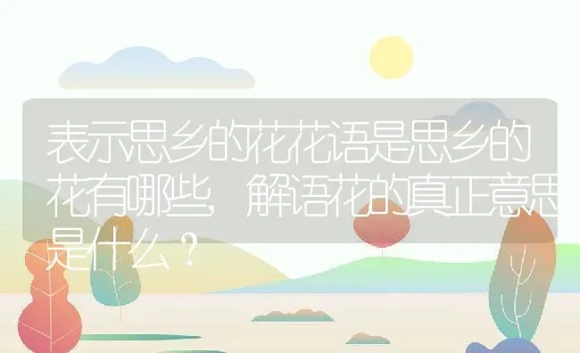 表示思乡的花花语是思乡的花有哪些,解语花的真正意思是什么？ | 养殖常见问题