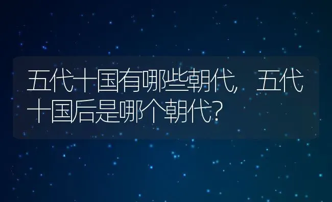 五代十国有哪些朝代,五代十国后是哪个朝代？ | 养殖常见问题