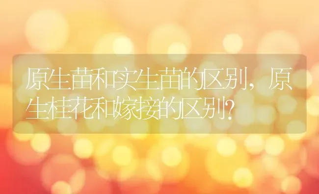 原生苗和实生苗的区别,原生桂花和嫁接的区别？ | 养殖常见问题