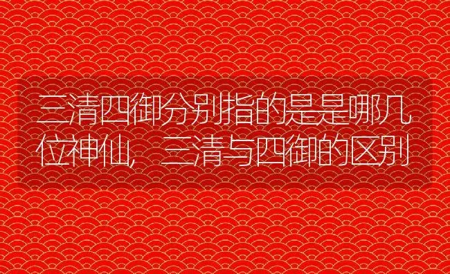 三清四御分别指的是是哪几位神仙,三清与四御的区别 | 养殖常见问题