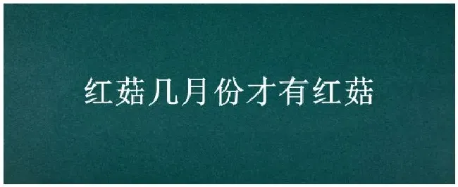 红菇几月份才有红菇 | 农业答疑