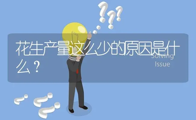 花生产量这么少的原因是什么? | 养殖问题解答