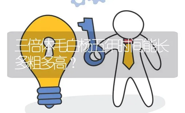 三倍体毛白杨五年时间能长多粗多高? | 养殖问题解答
