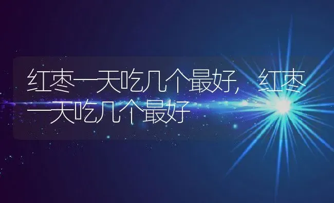 红枣一天吃几个最好,红枣一天吃几个最好 | 养殖常见问题