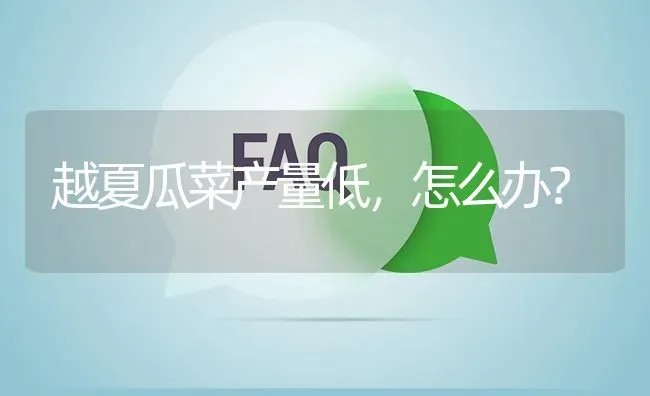 越夏瓜菜产量低,怎么办? | 养殖问题解答