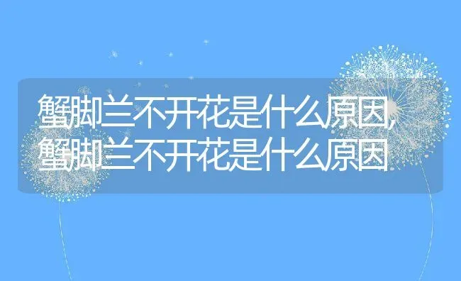 蟹脚兰不开花是什么原因,蟹脚兰不开花是什么原因 | 养殖常见问题