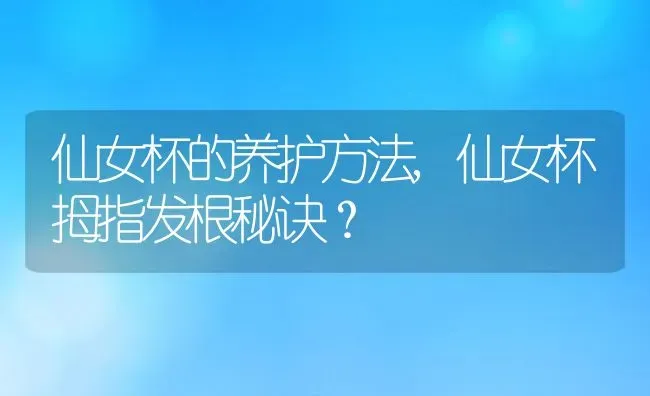 仙女杯的养护方法,仙女杯拇指发根秘诀？ | 养殖常见问题