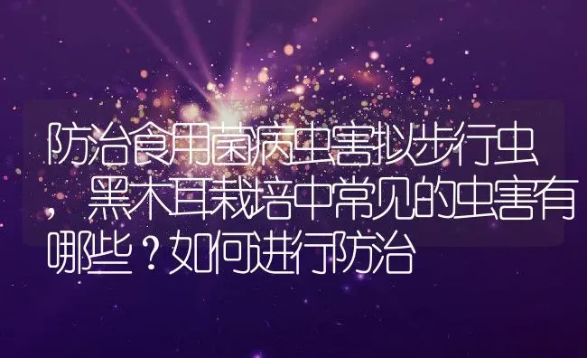 防治食用菌病虫害拟步行虫,黑木耳栽培中常见的虫害有哪些？如何进行防治 | 养殖常见问题