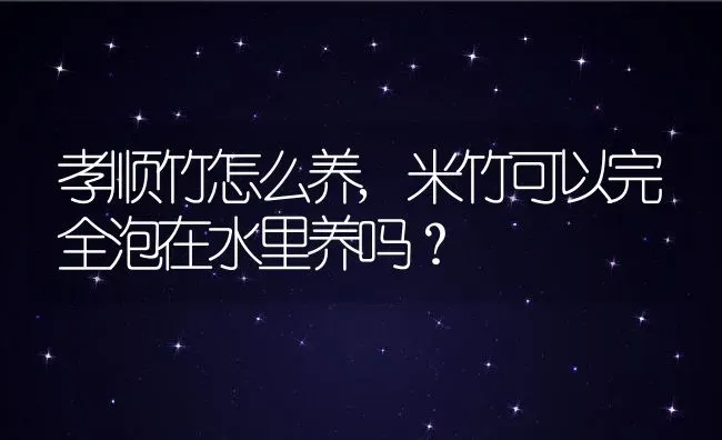 孝顺竹怎么养,米竹可以完全泡在水里养吗？ | 养殖常见问题