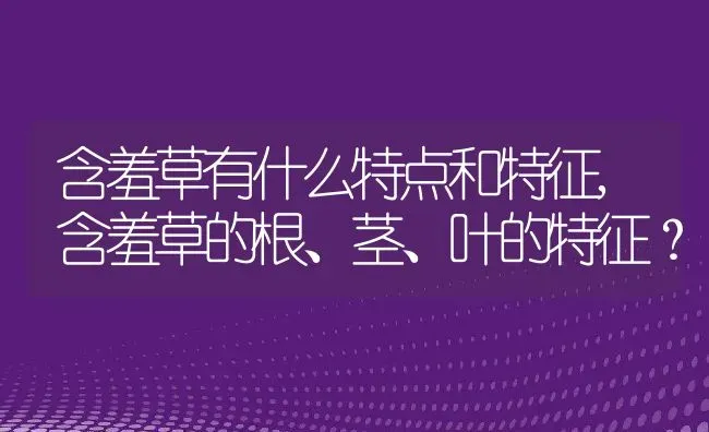 含羞草有什么特点和特征,含羞草的根、茎、叶的特征？ | 养殖常见问题