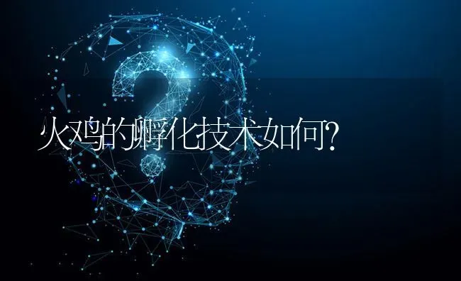 火鸡的孵化技术如何? | 养殖问题解答