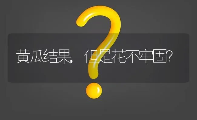 黄瓜结果,但是花不牢固? | 养殖问题解答