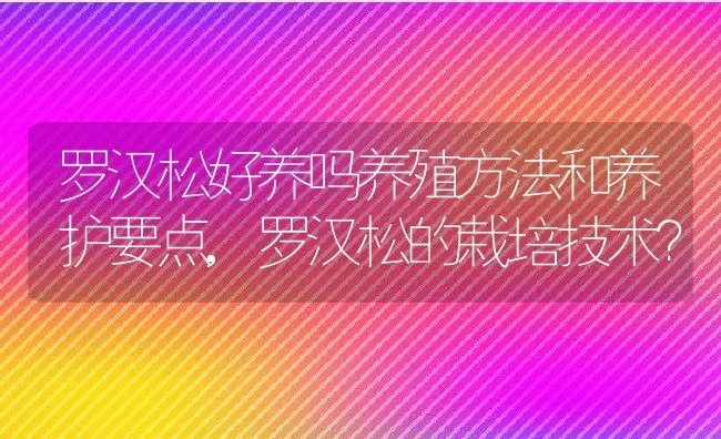 罗汉松好养吗养殖方法和养护要点,罗汉松的栽培技术？ | 养殖常见问题