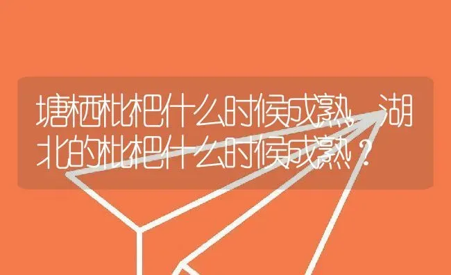 塘栖枇杷什么时候成熟,湖北的枇杷什么时候成熟？ | 养殖常见问题