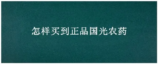怎样买到正品国光农药 | 生活常识