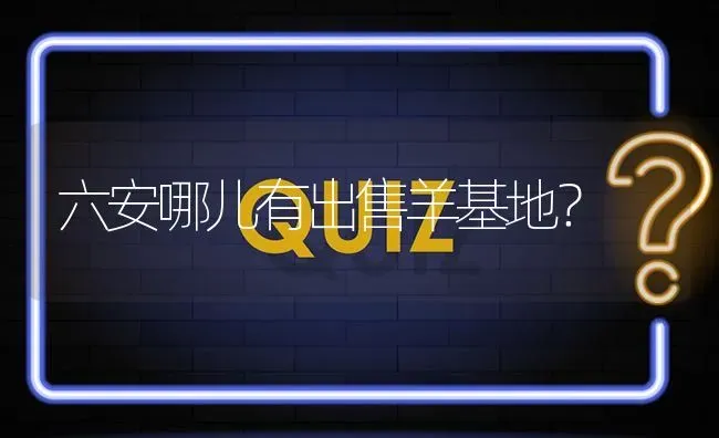 六安哪儿有出售羊基地? | 养殖问题解答