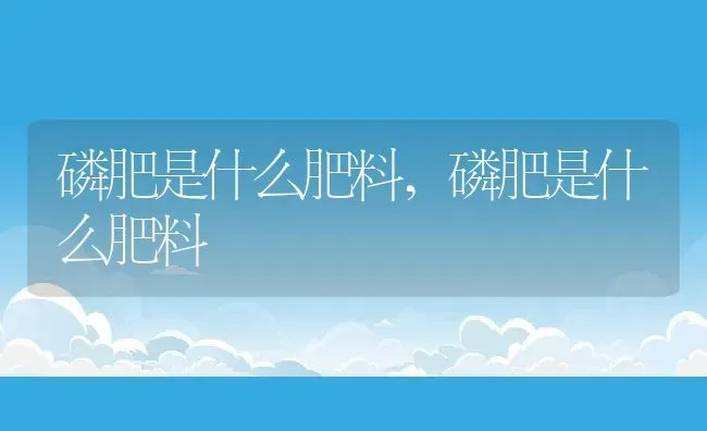 磷肥是什么肥料,磷肥是什么肥料 | 养殖常见问题