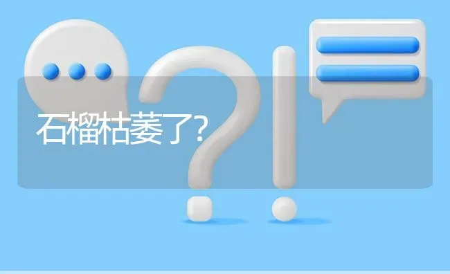 石榴枯萎了? | 养殖问题解答