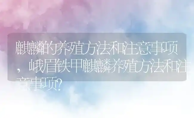 麒麟的养殖方法和注意事项,峨眉铁甲麒麟养殖方法和注意事项？ | 养殖常见问题