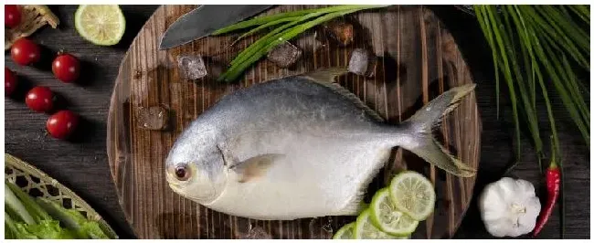 金仓鱼是海鱼吗 | 农业常识