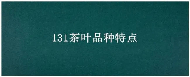 131茶叶品种特点 | 农业答疑