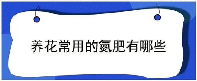 养花常用的氮肥有哪些 | 生活常识